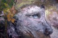 /album/fotogaleria-galeria/rostro-indigena-jpg1/